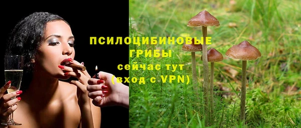 ешки Абинск