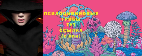 скорость Абаза
