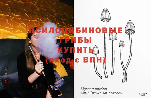 jwh Новозыбков