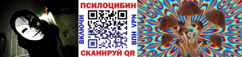 Галлюциногенные грибы Psilocybine cubensis где купить наркоту Чегем